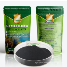Khumic nature organic fertilizer seaweed extracts powderagricultural grade kelp acid water soluble PGR